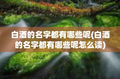 白酒的名字都有哪些呢(白酒的名字都有哪些呢怎么读)