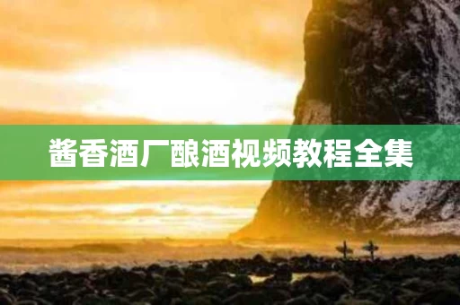 酱香酒厂酿酒视频教程全集