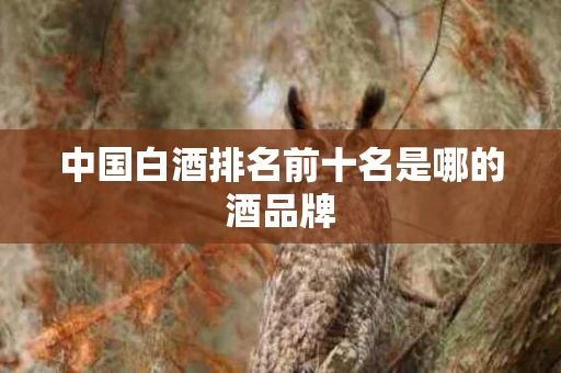 中国白酒排名前十名是哪的酒品牌