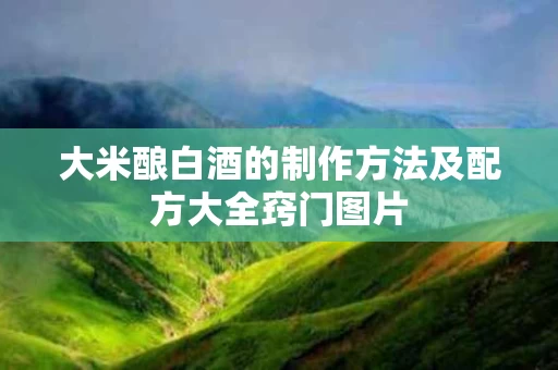 大米酿白酒的制作方法及配方大全窍门图片