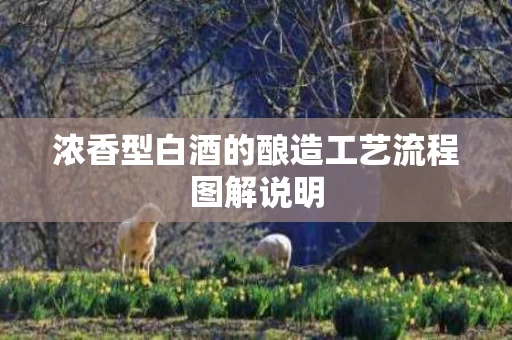 浓香型白酒的酿造工艺流程图解说明