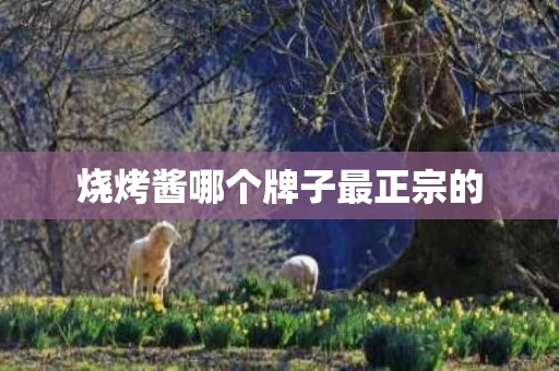 烧烤酱哪个牌子最正宗的