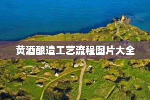 黄酒酿造工艺流程图片大全