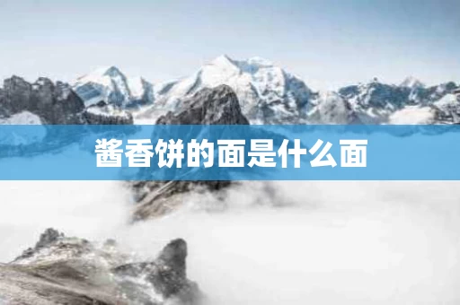 酱香饼的面是什么面