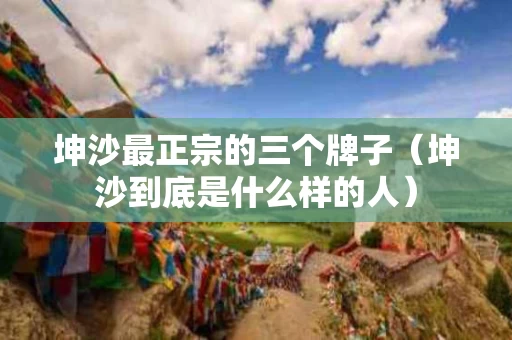 坤沙最正宗的三个牌子（坤沙到底是什么样的人）