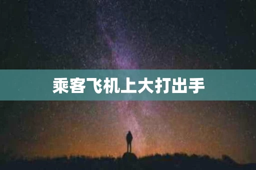 乘客飞机上大打出手