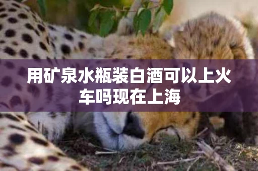 用矿泉水瓶装白酒可以上火车吗现在上海