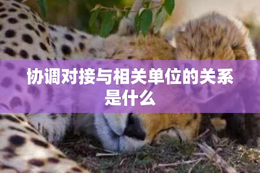 协调对接与相关单位的关系是什么