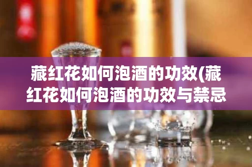 藏红花如何泡酒的功效(藏红花如何泡酒的功效与禁忌)