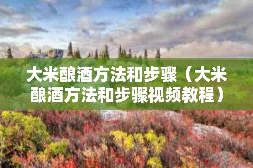 大米酿酒方法和步骤（大米酿酒方法和步骤视频教程）