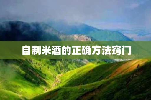 自制米酒的正确方法窍门