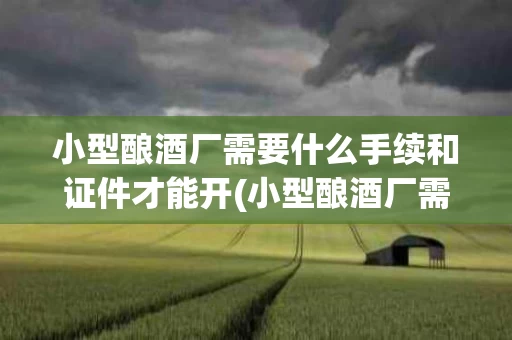 小型酿酒厂需要什么手续和证件才能开(小型酿酒厂需要什么手续和证件才能开酒)