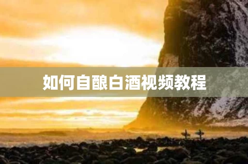 如何自酿白酒视频教程