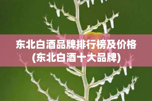 东北白酒品牌排行榜及价格(东北白酒十大品牌)