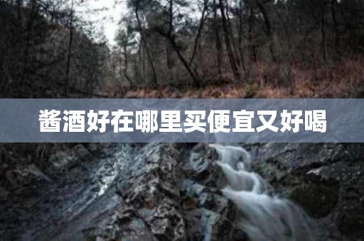 酱酒好在哪里买便宜又好喝