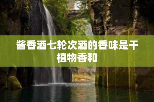 酱香酒七轮次酒的香味是干植物香和