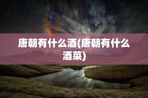 唐朝有什么酒(唐朝有什么酒菜)