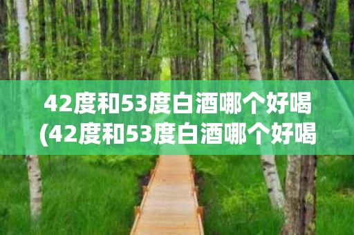 42度和53度白酒哪个好喝(42度和53度白酒哪个好喝点)