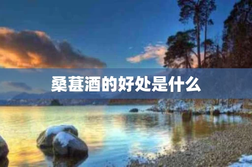 桑葚酒的好处是什么