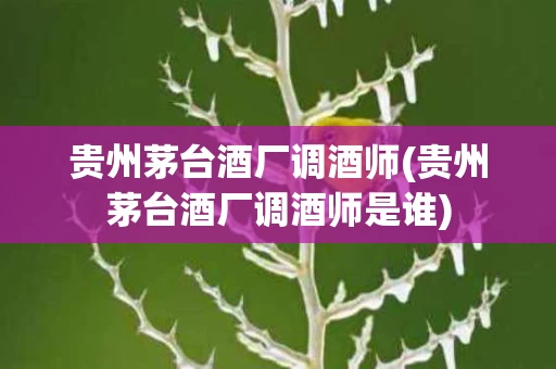 贵州茅台酒厂调酒师(贵州茅台酒厂调酒师是谁)