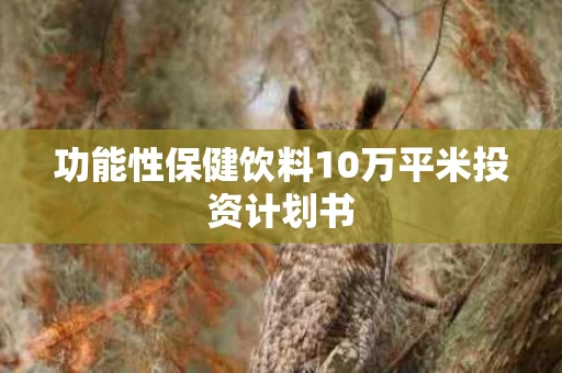 功能性保健饮料10万平米投资计划书