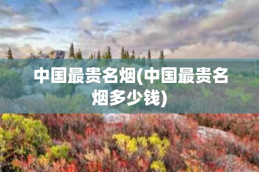 中国最贵名烟(中国最贵名烟多少钱)