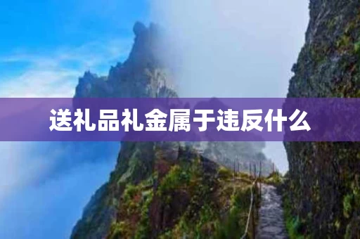 送礼品礼金属于违反什么