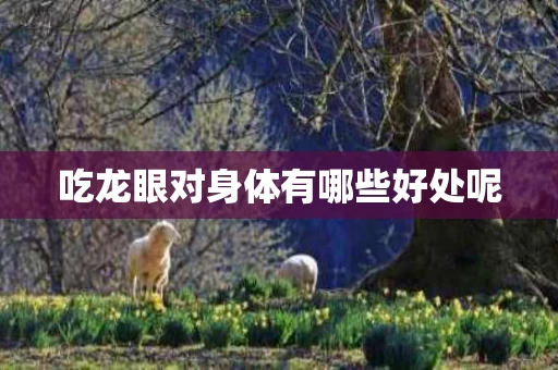 吃龙眼对身体有哪些好处呢