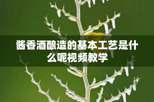 酱香酒酿造的基本工艺是什么呢视频教学