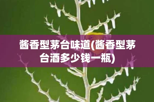 酱香型茅台味道(酱香型茅台酒多少钱一瓶)