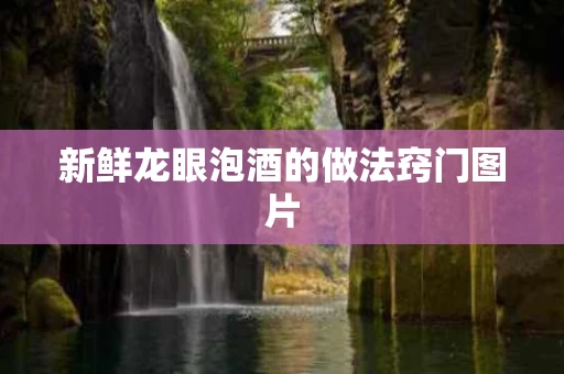 新鲜龙眼泡酒的做法窍门图片