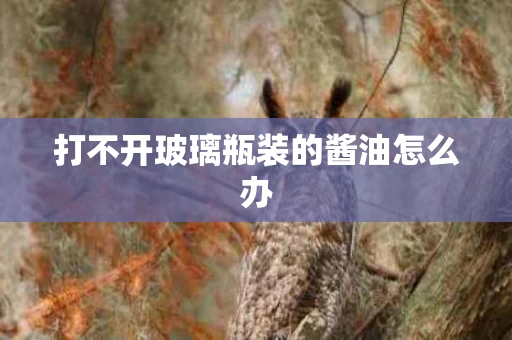 打不开玻璃瓶装的酱油怎么办
