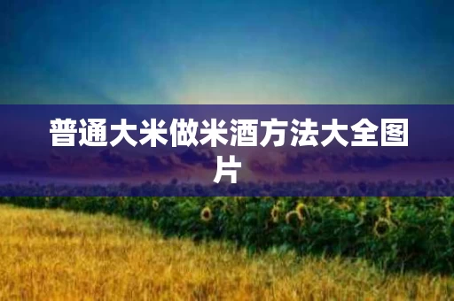 普通大米做米酒方法大全图片
