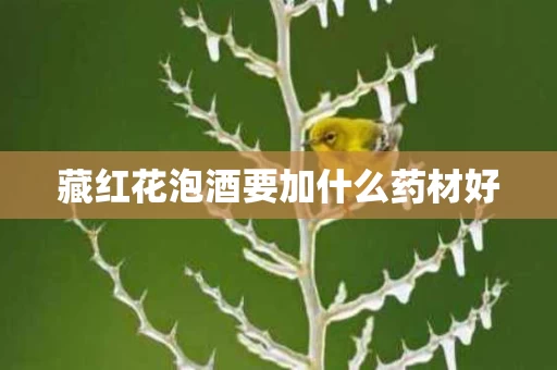 藏红花泡酒要加什么药材好