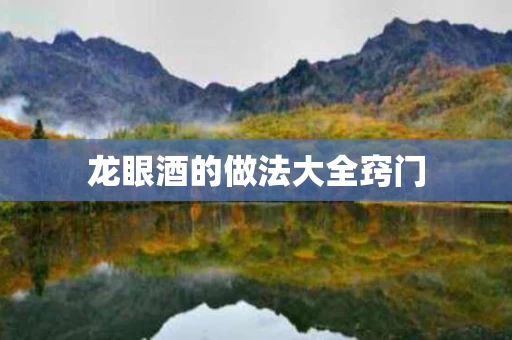 龙眼酒的做法大全窍门