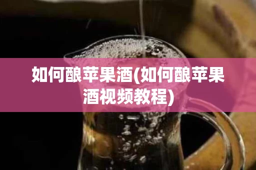 如何酿苹果酒(如何酿苹果酒视频教程)