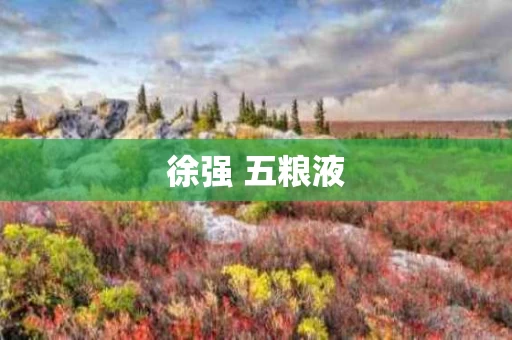 徐强 五粮液