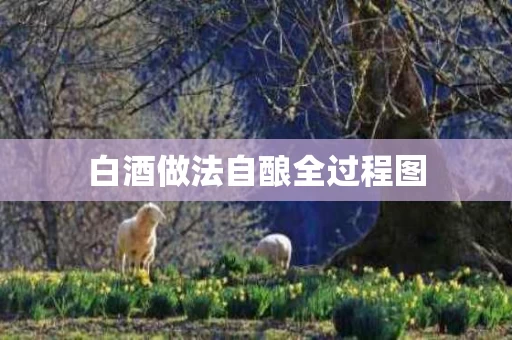 白酒做法自酿全过程图