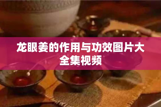 龙眼姜的作用与功效图片大全集视频