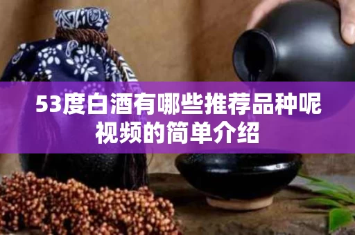 53度白酒有哪些推荐品种呢视频的简单介绍