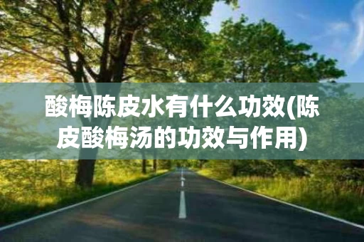 酸梅陈皮水有什么功效(陈皮酸梅汤的功效与作用)