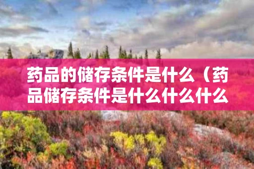 药品的储存条件是什么（药品储存条件是什么什么什么）