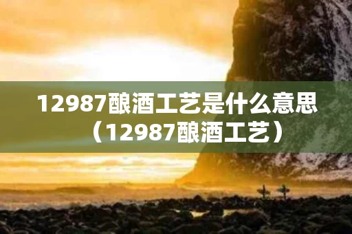 12987酿酒工艺是什么意思（12987酿酒工艺）