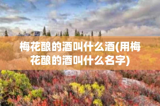 梅花酿的酒叫什么酒(用梅花酿的酒叫什么名字)