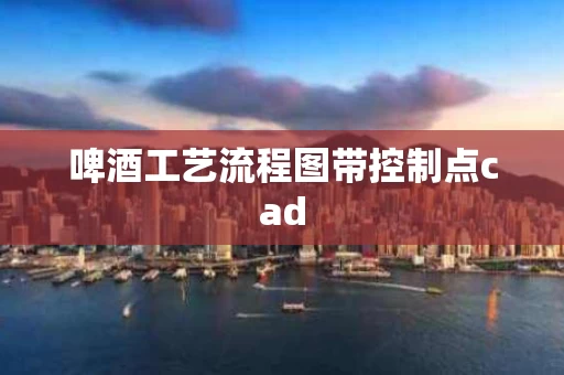 啤酒工艺流程图带控制点cad