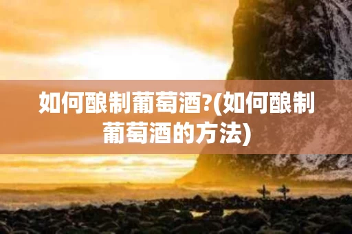 如何酿制葡萄酒?(如何酿制葡萄酒的方法)