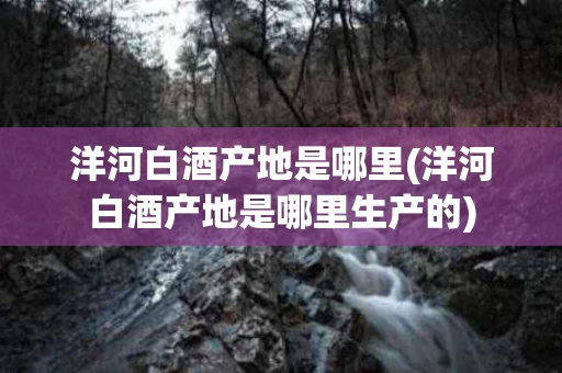 洋河白酒产地是哪里(洋河白酒产地是哪里生产的)