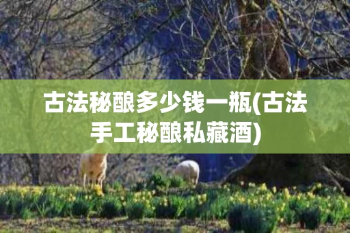 古法秘酿多少钱一瓶(古法手工秘酿私藏酒)