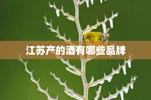 江苏产的酒有哪些品牌