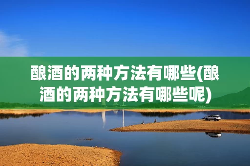 酿酒的两种方法有哪些(酿酒的两种方法有哪些呢)